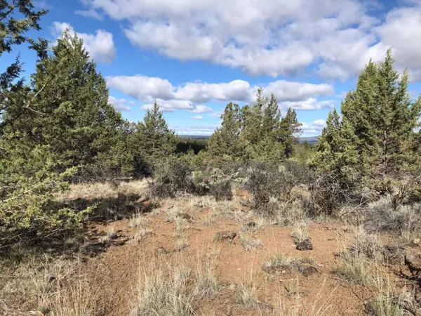 Bonanza, OR 97623,Canvasback DR #lot 43