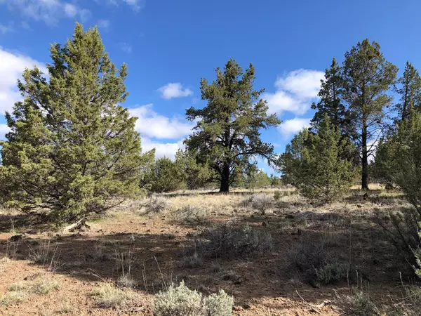 Bonanza, OR 97623,Canvasback DR #lot 43