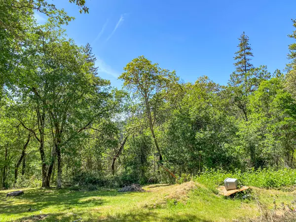 Rogue River, OR 97537,425 Murphy Gulch RD