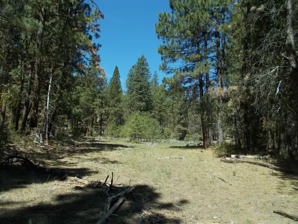 Bonanza, OR 97623,Lot 1700 140 HWY E