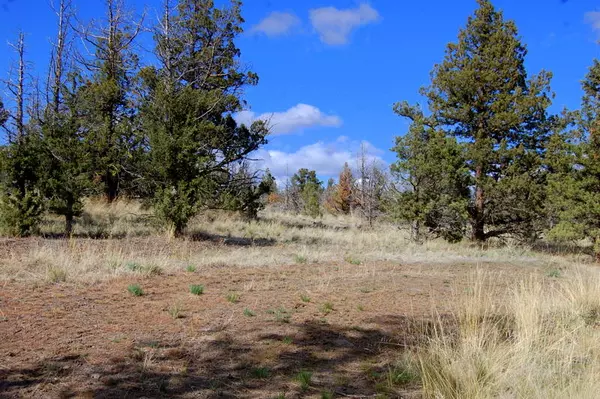 Prineville, OR 97754,TL 500 Snowflake CT