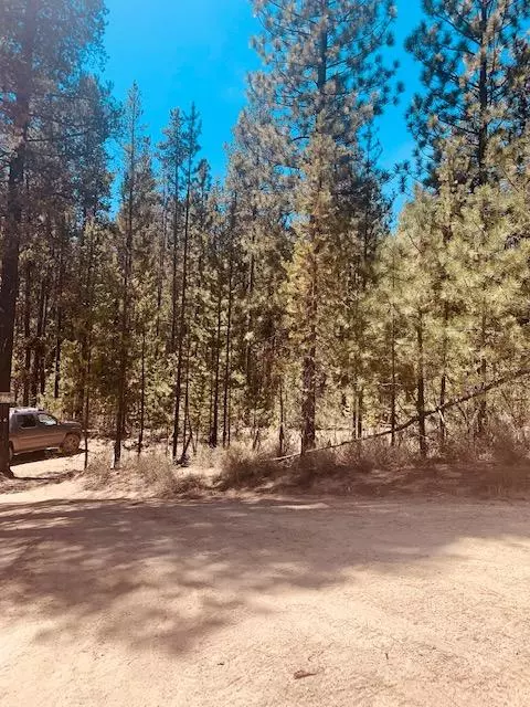 Crescent, OR 97733,Lot 2200 Schoonover 1