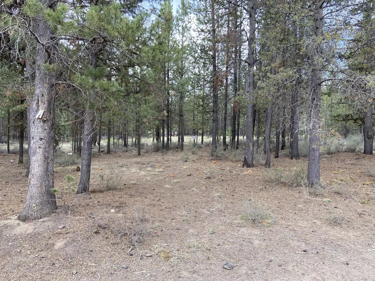 La Pine, OR 97739,16337 Lava DR