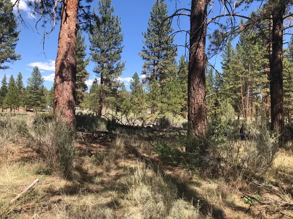 Bonanza, OR 97623,Swan DR #lot 27