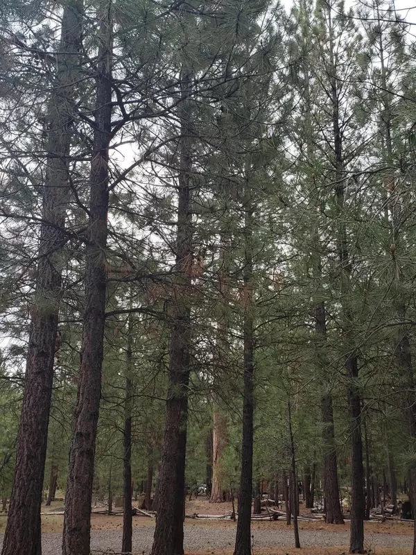 La Pine, OR 97739,14804 Heartwood