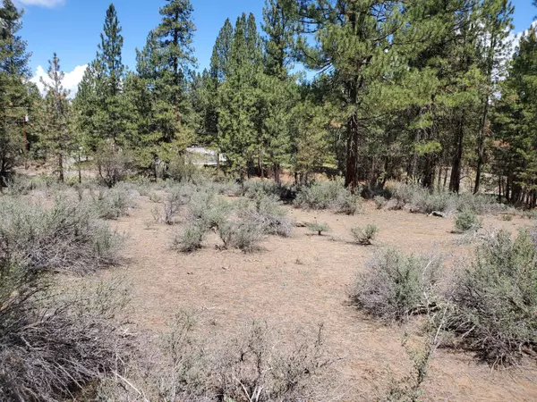 Elde ST #Lot 20, Chiloquin, OR 97624