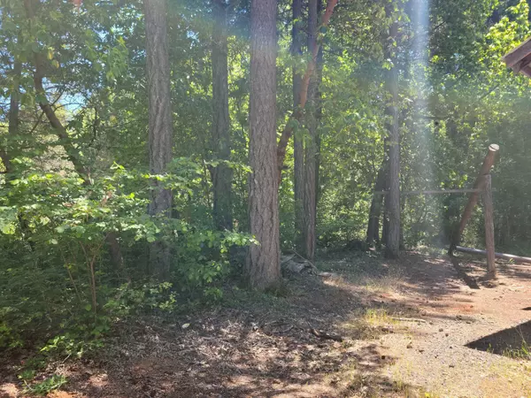 Cave Junction, OR 97523,451 Stage Stop DR