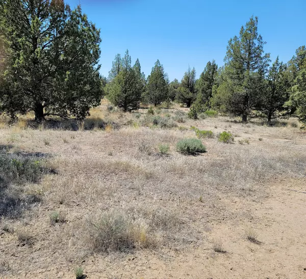 17047 Ute RD, Prineville, OR 97754