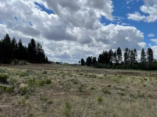 Bonanza, OR 97623,Petersteiner RD #lot 300