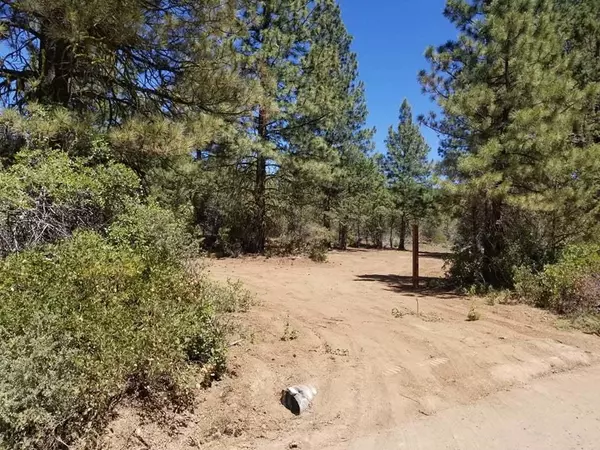 Bonanza, OR 97623,Lot 8 Hummingbird DR