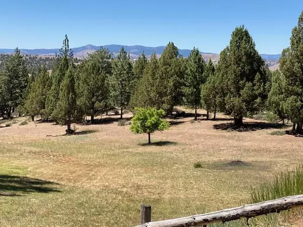 Canyon City, OR 97820,60746 Marysville LN