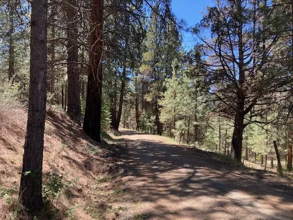 Canyon City, OR 97820,60746 Marysville LN