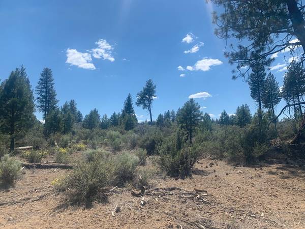 Sprague River, OR 97639,Ruffled Grouse Lane