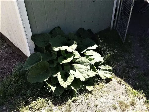 Klamath Falls, OR 97603,4751 Bellm DR ##23