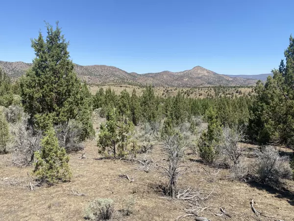 Mitchell, OR 97750,TL 1310 Lost Coyote LN