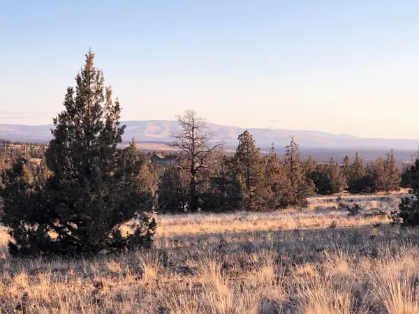 Prineville, OR 97754,TL116 Texas CIR