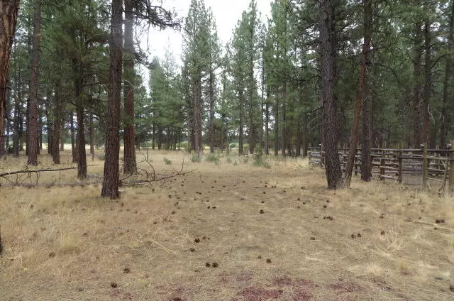 Lot 5 Whitehorse, Chiloquin, OR 97624