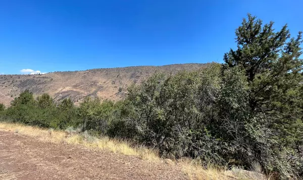 Klamath Falls, OR 97601,Lot 41 Peregrine Heights