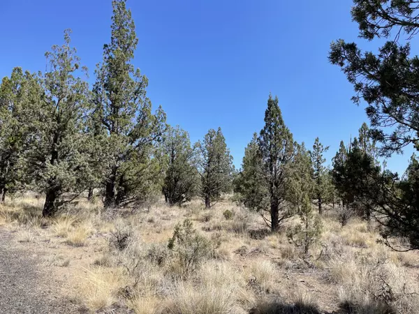 Prineville, OR 97754,16520 Pecos RD #TL 6600