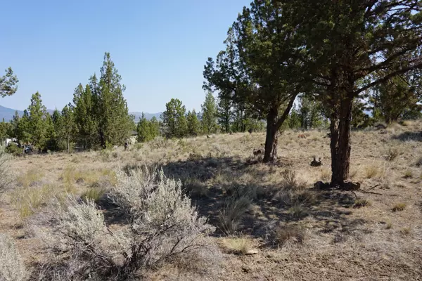 Prineville, OR 97754,Crescent Rim DR