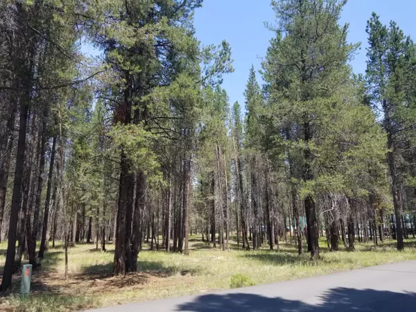 La Pine, OR 97739,7300 Lot Wagon Trail RD