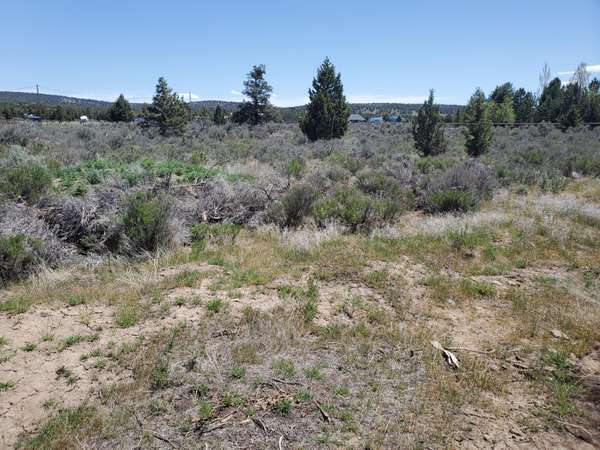 TL800 Modoc RD SE, Prineville, OR 97754