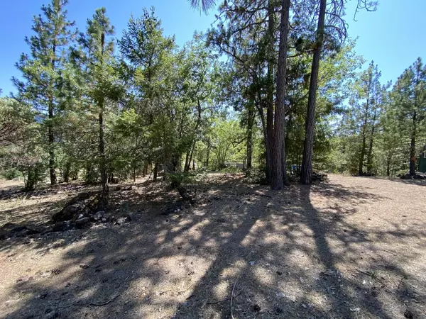 Prospect, OR 97536,118 Manzanita DR