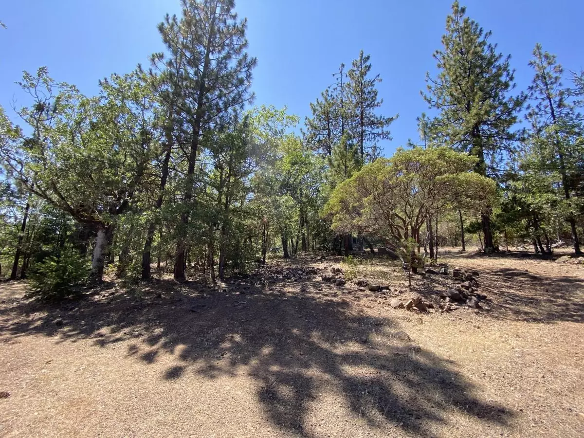 Prospect, OR 97536,118 Manzanita DR