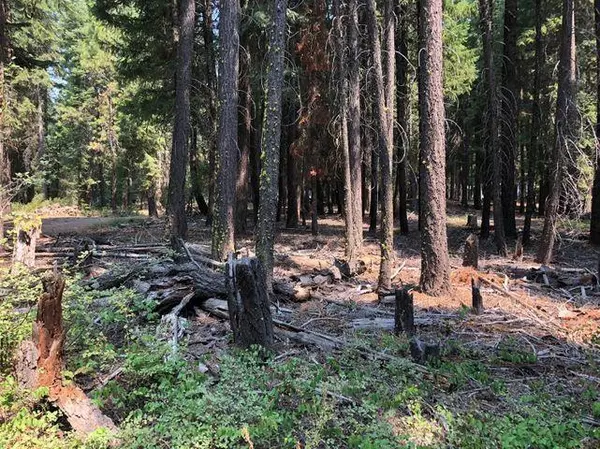 Klamath Falls, OR 97601,Lot 60 Lookout LN