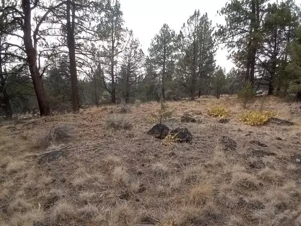 Bonanza, OR 97623,0 Seagull DR