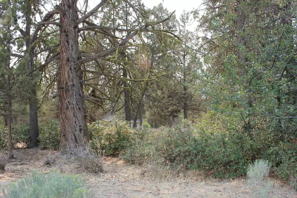 Klamath Falls, OR 97601,Osprey LN #lot 236