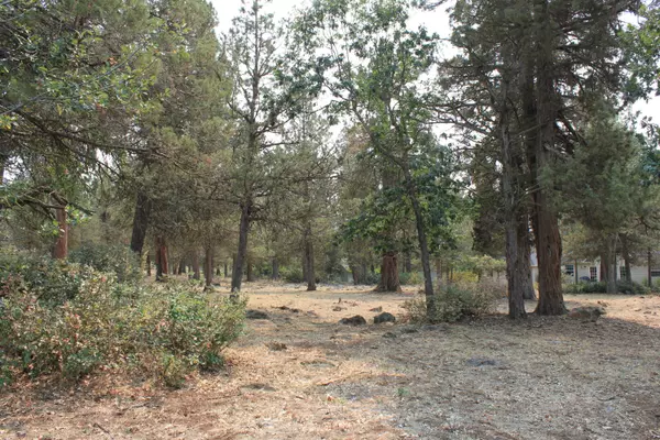 Klamath Falls, OR 97601,Osprey LN #lot 236