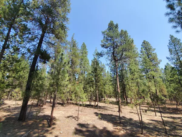 La Pine, OR 97739,51881 Applewood WAY