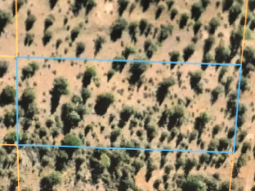 Bonanza, OR 97623,Canvassback DR #liot 21