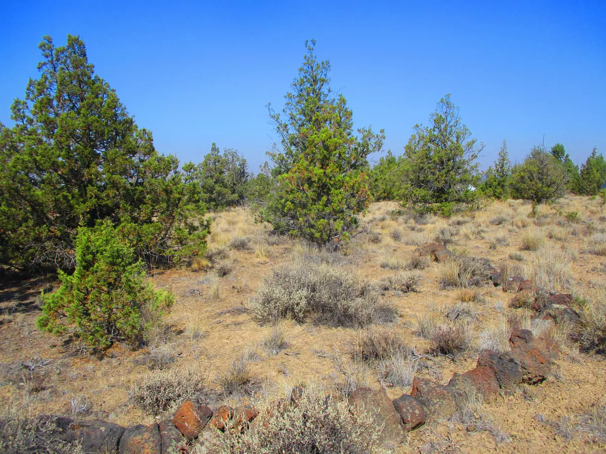 Prineville, OR 97754,TL1900 Cayuse RD