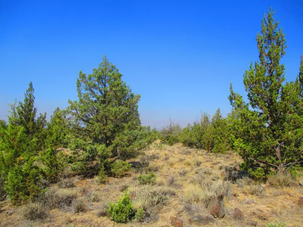 Prineville, OR 97754,TL1900 Cayuse RD