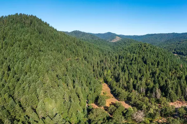 Grants Pass, OR 97527,TL300 Redwood HWY