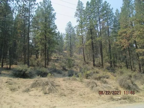 Bonanza, OR 97623,Lot 16 Teal DR