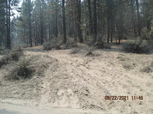 Bonanza, OR 97623,Lot 16 Teal DR