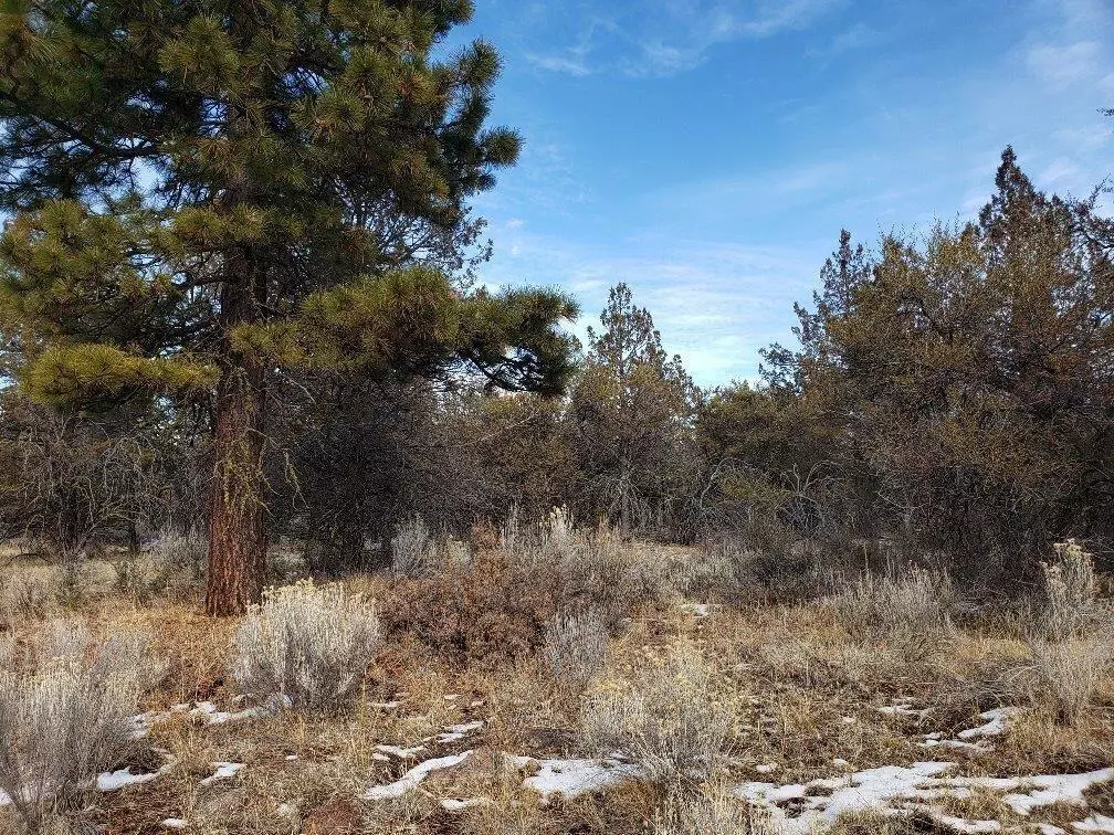 Bonanza, OR 97623,Lot 1 Cold Springs ST