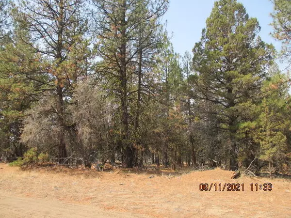 Beatty, OR 97621,Lot 1 Rio Vista DR