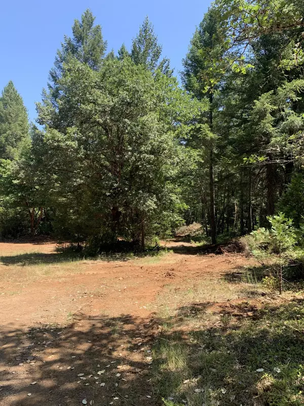 Grants Pass, OR 97526,Limpy Creek TL 201 RD