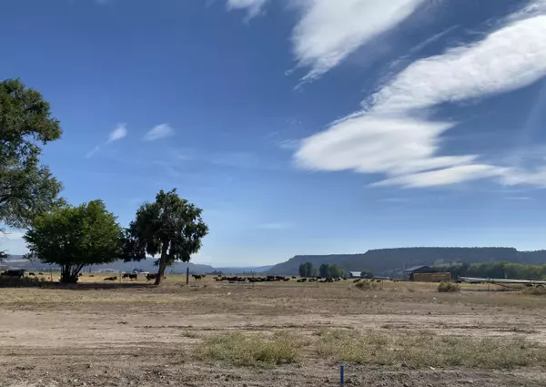 Prineville, OR 97754,382 Stetson CT