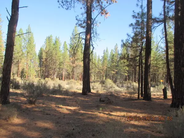 Lot 1200 Sprague River Rd (off of), Sprague River, OR 97639