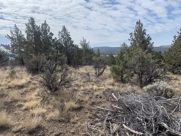 Prineville, OR 97754,TL 1700 Wilderness RD