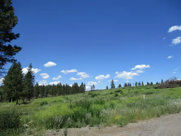 Chiloquin, OR 97624,NKA Lot 103 Highway 62