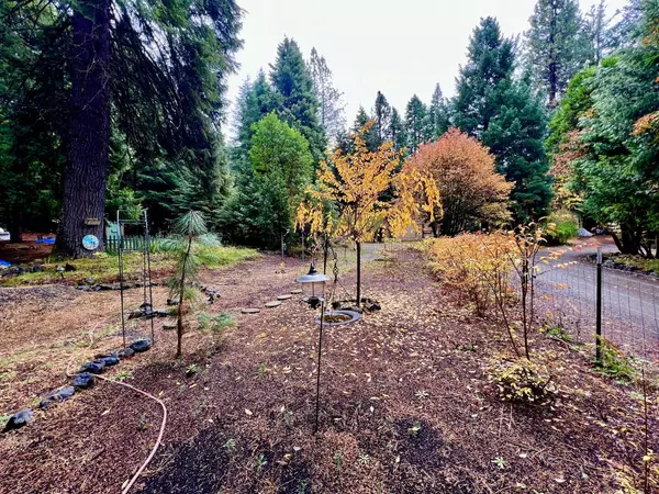 Prospect, OR 97536,349 Scott DR