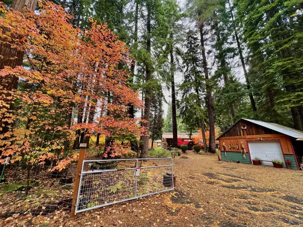 Prospect, OR 97536,349 Scott DR