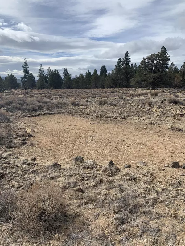 Chiloquin, OR 97639,Lot 111 Rim DR