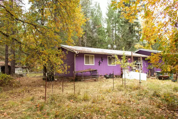 Cave Junction, OR 97523,333 Queen Of Bronze RD